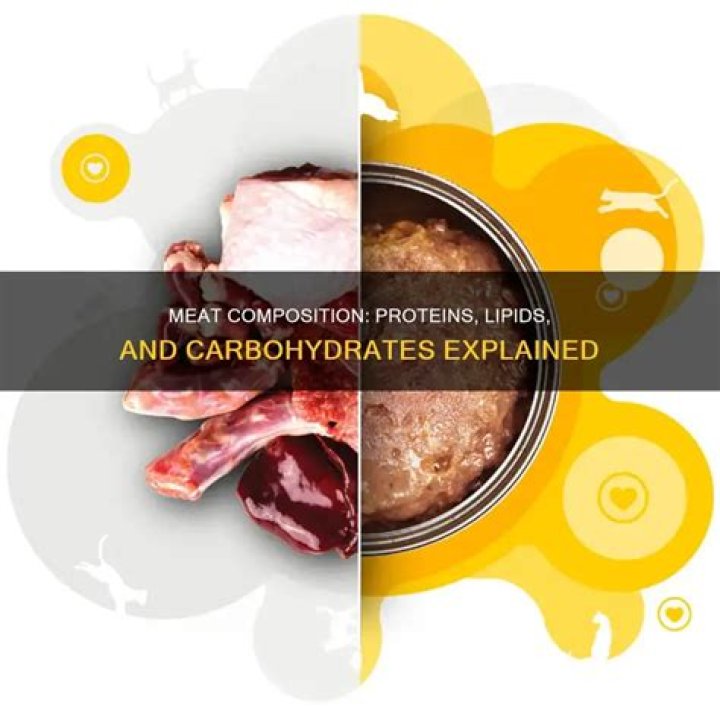 Does meat contain any carbs?