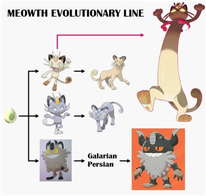 Does meowth ever evolve in the show?