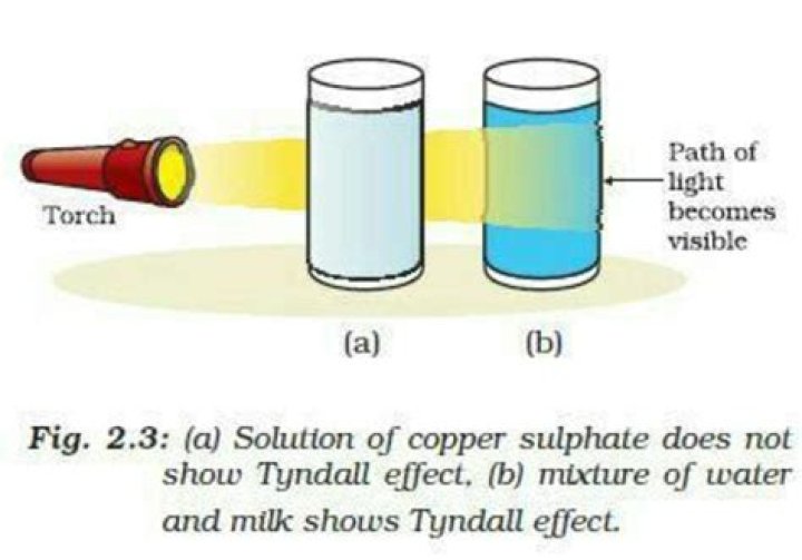 Does milk scatter light? | ContextResponse.com