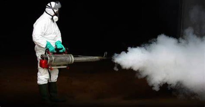Does mold fogging really work?