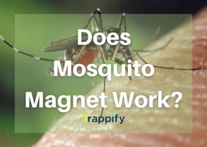 Does Mosquito Magnet really work?