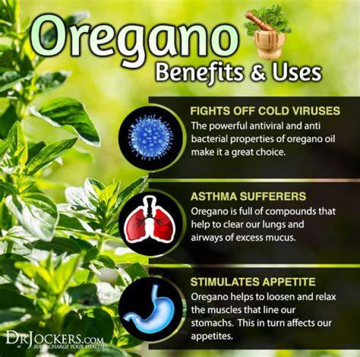 Does Oil of Oregano help with cough?