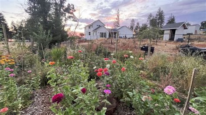 Does Paradise California still exist?