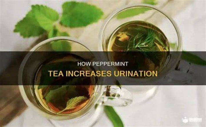 Does peppermint make you pee?