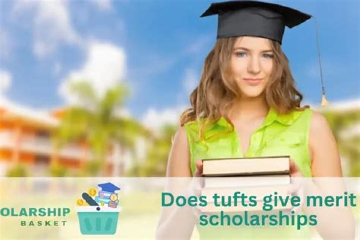 Does Pitt give merit scholarships?
