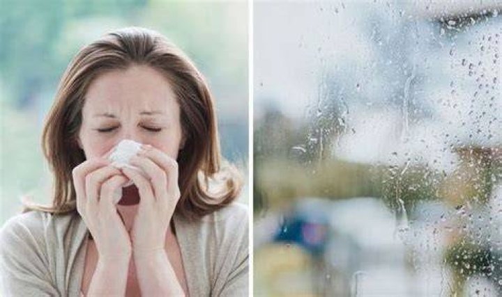 Does rain make hay fever worse?