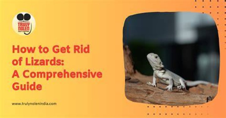 Does sulfur keep lizards away?