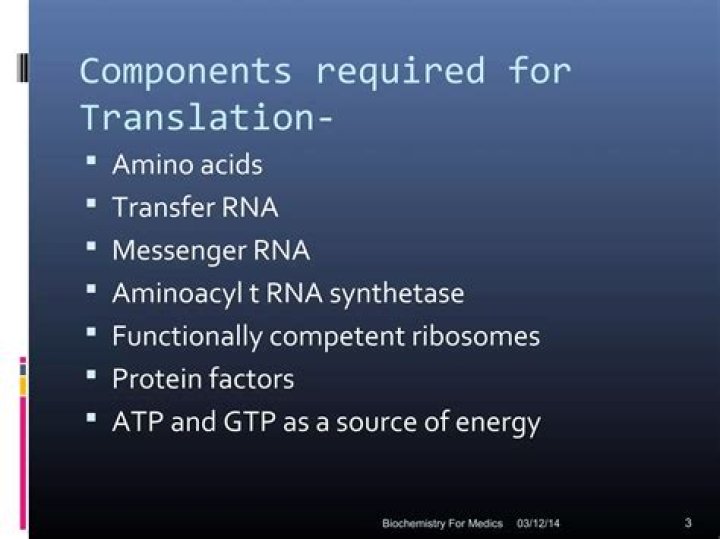 Does translation require DNA? | ContextResponse.com