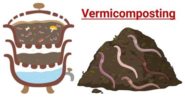 Does vermicompost contain earthworm eggs?