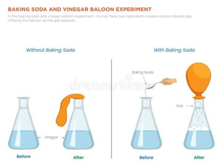 Does vinegar and baking soda make co2?