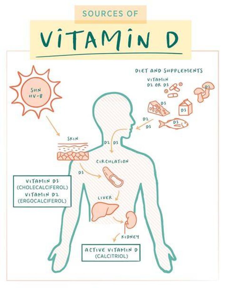 Does vitamin D stored in the body?