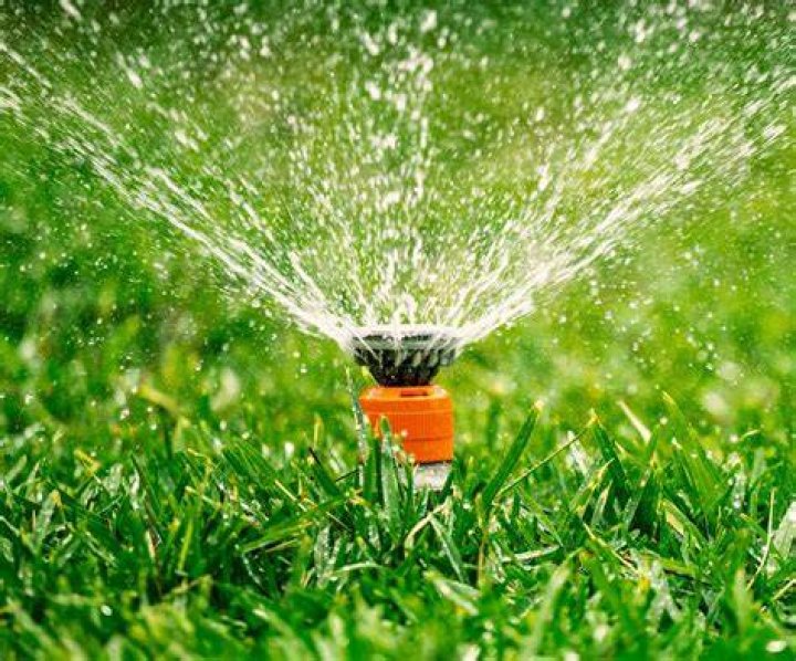 Does watering in the sun burn grass?