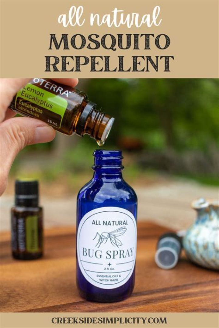 Does witch hazel repel bugs?
