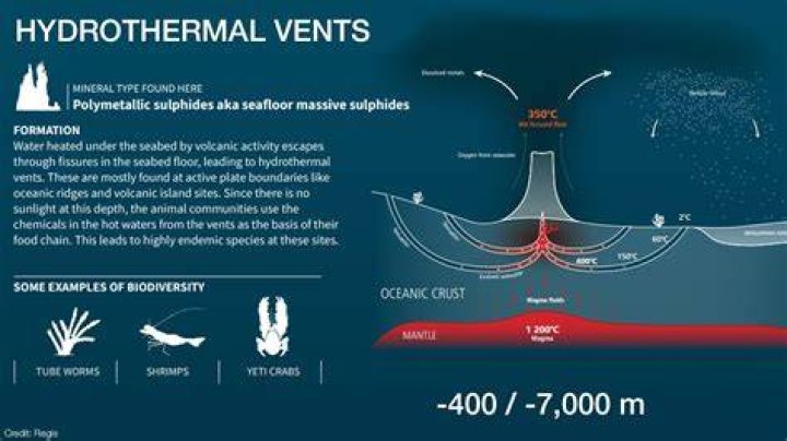 How are hydrothermal vents formed quizlet?