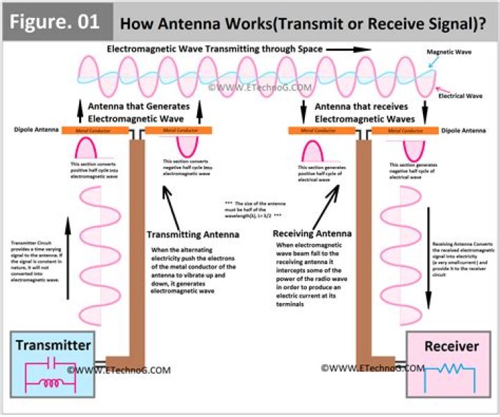 How are TV signals transmitted?