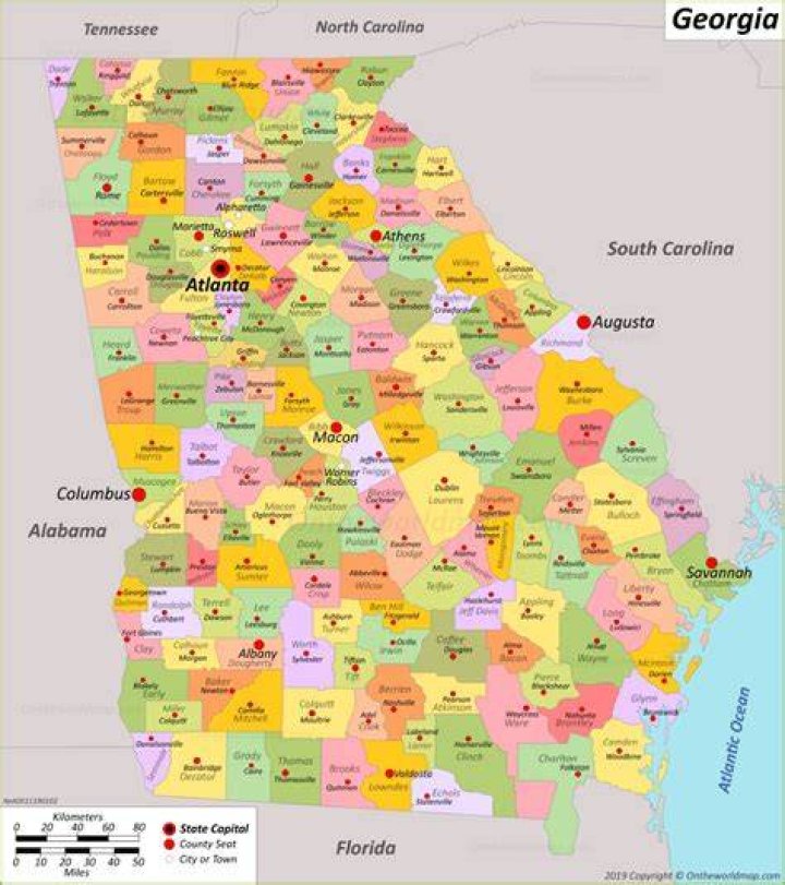 How big is Georgia State?