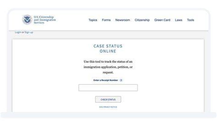How can I check my rectification status online?