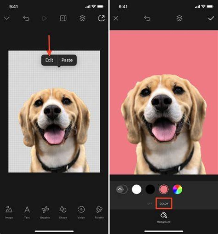 How can I draw on a picture on my iPhone?