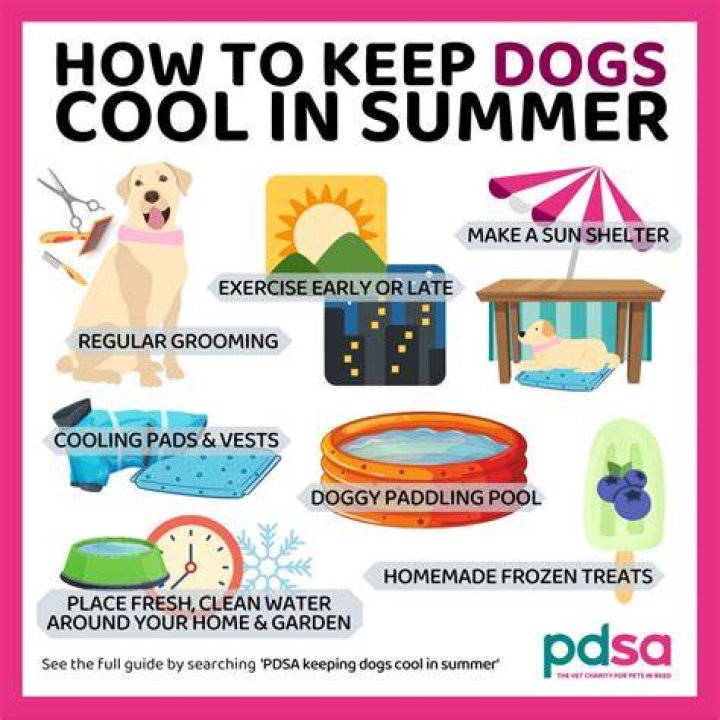 How can I keep my eyes cool in summer?