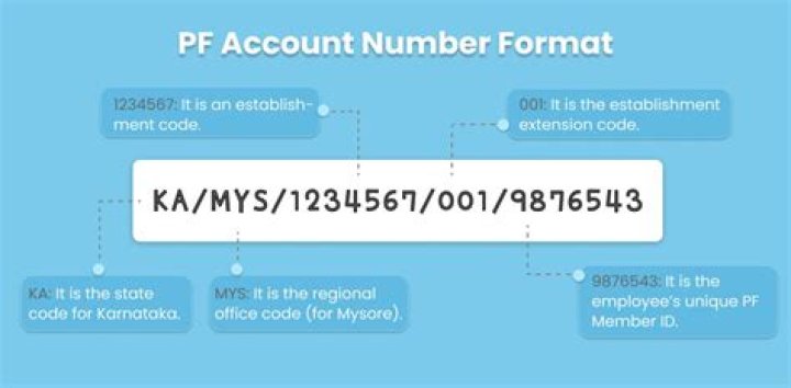 How can I know my previous PF account details?