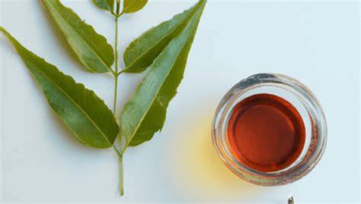 How can I use neem leaves for teeth?