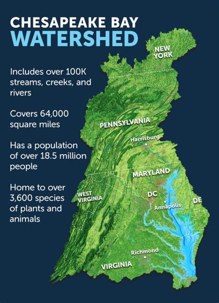 How can we keep the Chesapeake Bay clean?