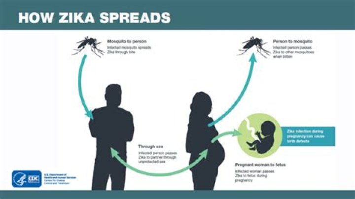 How can you avoid getting Zika virus when pregnant?