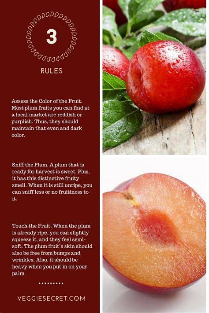 How can you tell if a plum is ripe?