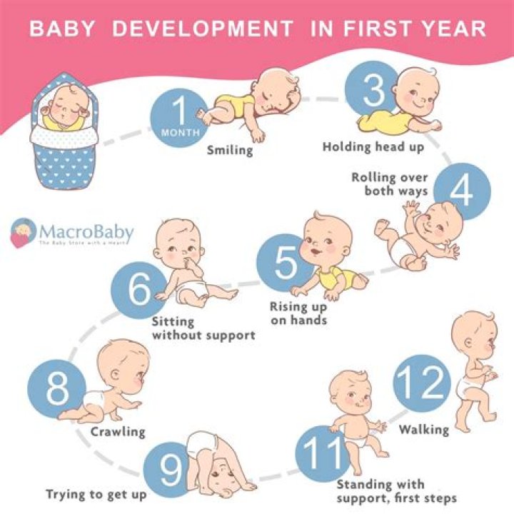 How do babies develop physically during infancy?