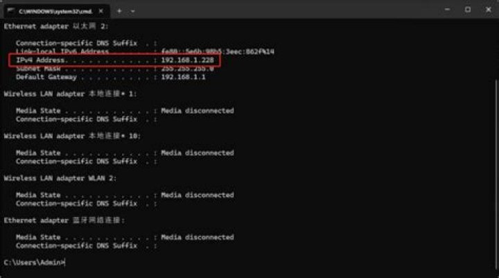 How do I access a remote IP address?