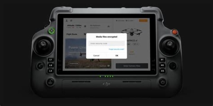 How do I access my DJI flight records?