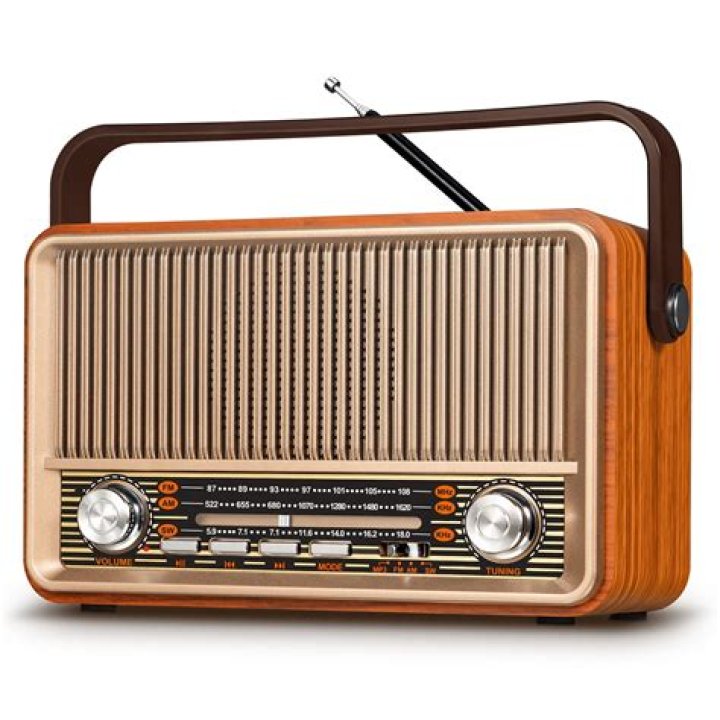 How do I add a radio station to echo dot?