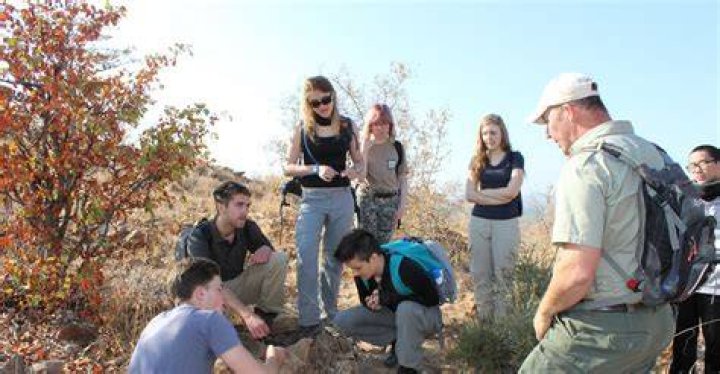 How do I become an effective volunteer coordinator?