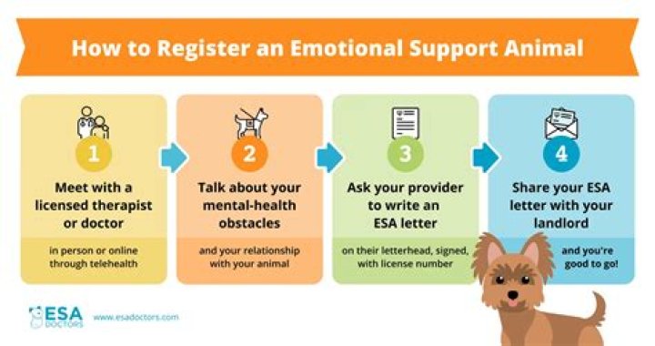 How do I certify my pet as an emotional support animal?