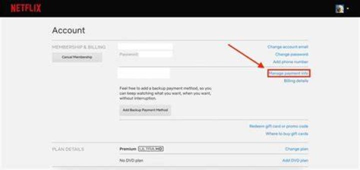 How do I change my payment date on Netflix?
