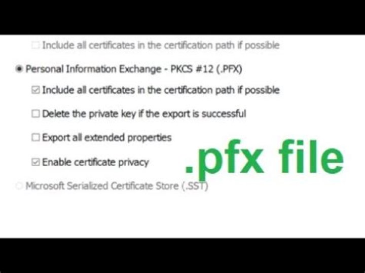 How do I create a pkcs12 file using OpenSSL?