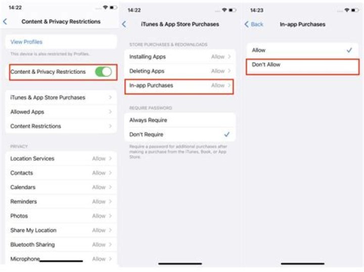 How do I enable in app purchases on my iPad?