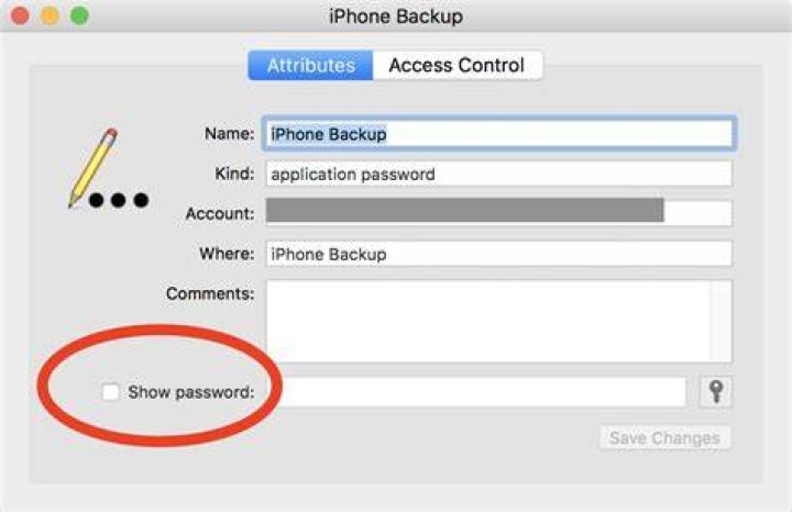 How do I find my encrypted backup password?