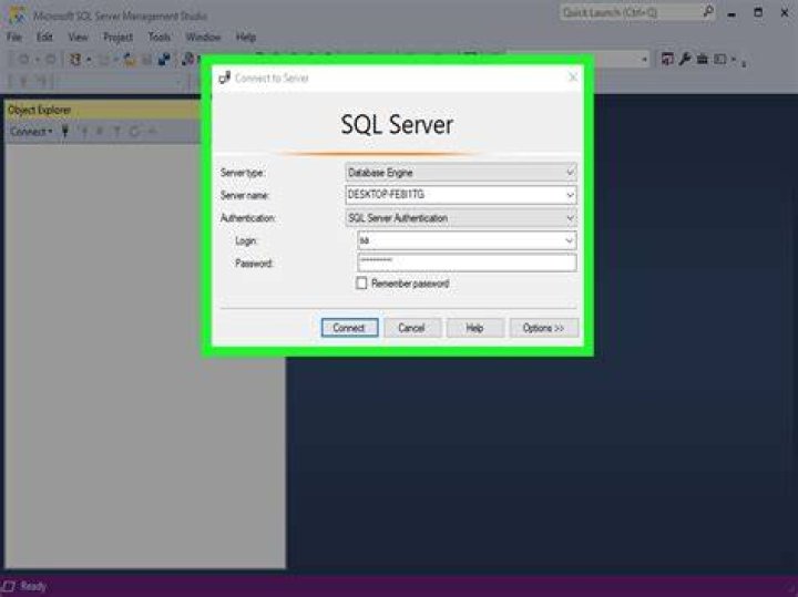 How do I find my Microsoft SQL Server password?