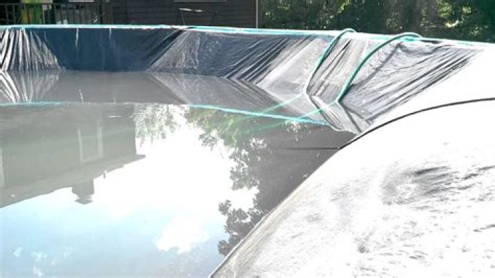How do I get rid of tadpoles on my pool cover?