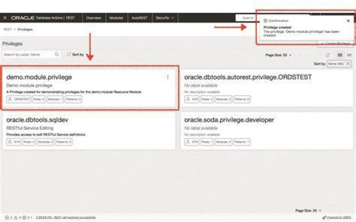 How do I grant a user privilege in Oracle?
