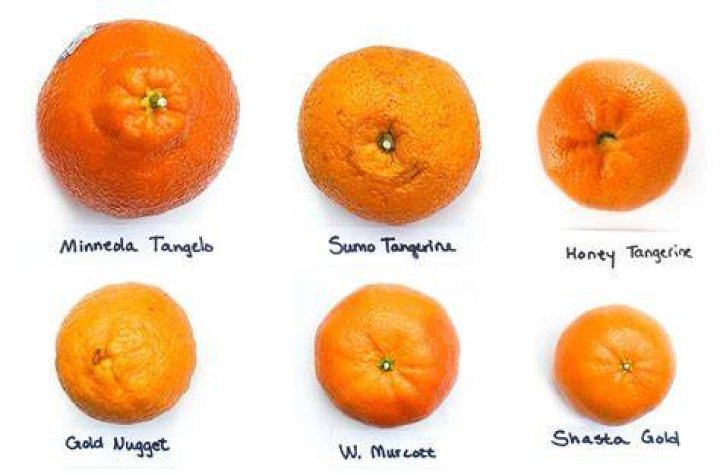 How do I grow bigger mandarins?