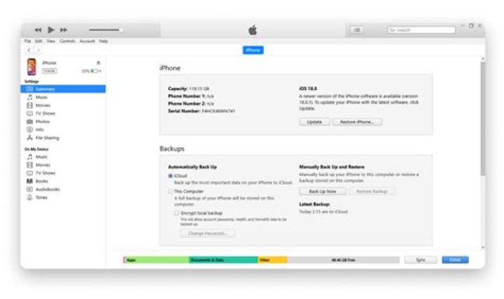 How do I install iTunes drivers on my iPhone?