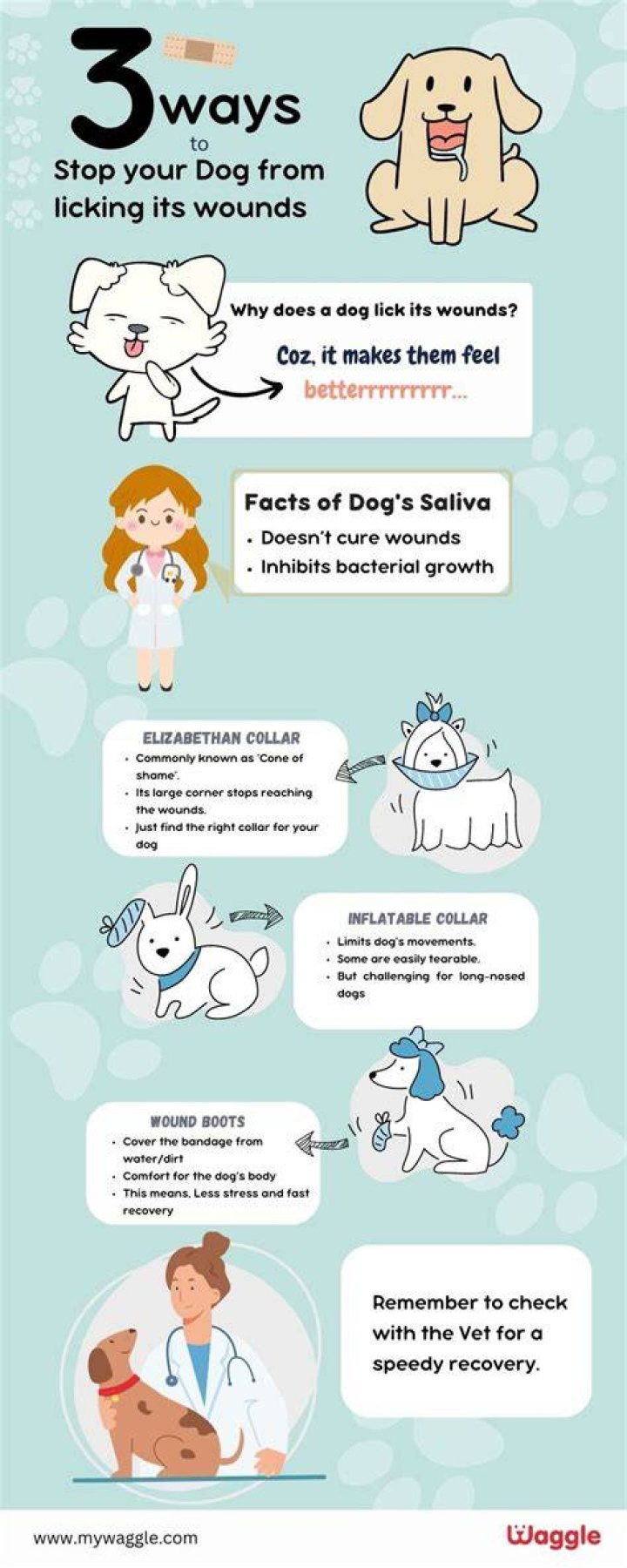 How do I keep my dog from licking a wound?