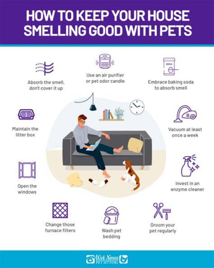 How do I keep my house from smelling like cat litter?