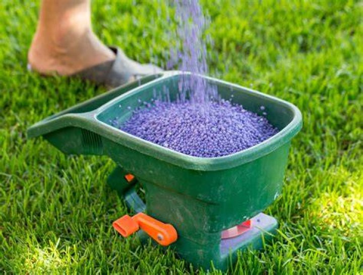 How do I know what fertilizer to use on my lawn?