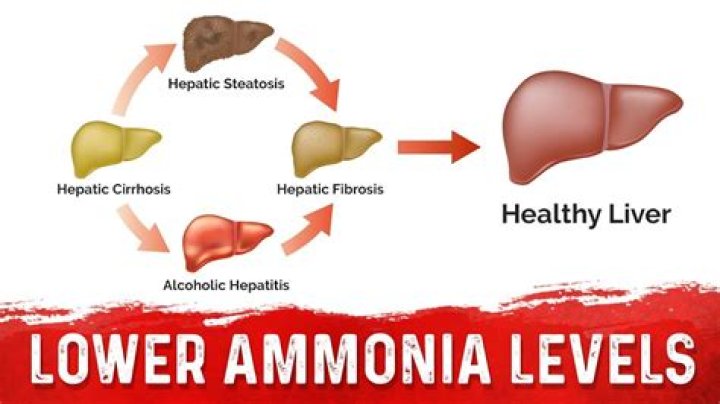 How do I lower ammonia levels?