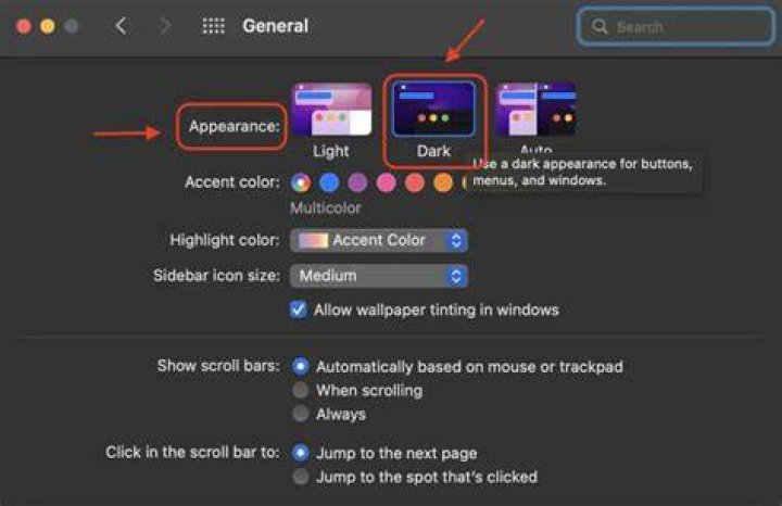 How do I make Microsoft Word darker on Mac?
