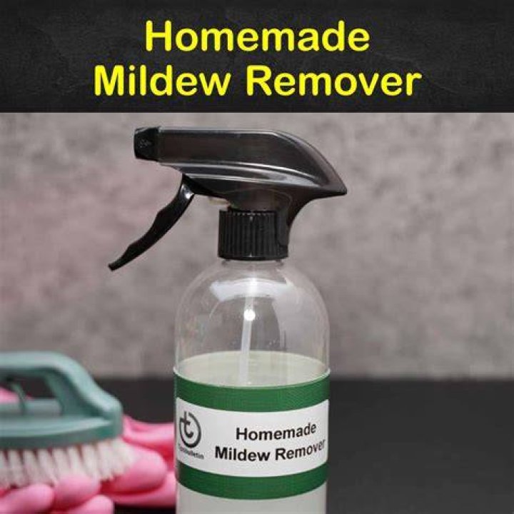 How do I make my own mildew remover?