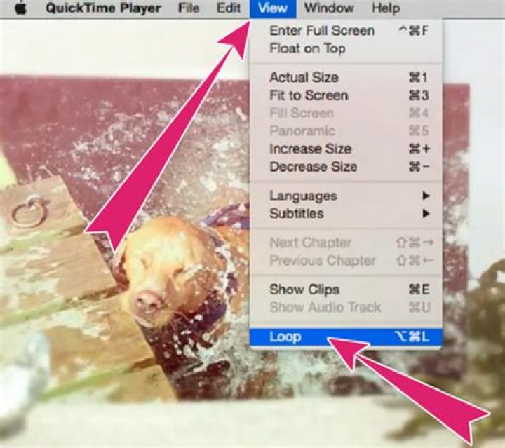 How do I play a QuickTime video on Windows?